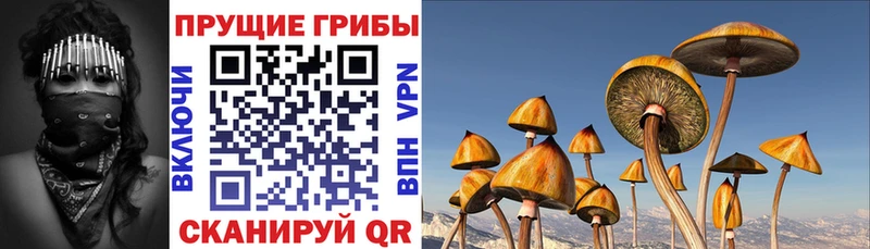продажа наркотиков  Беломорск  Галлюциногенные грибы ЛСД 